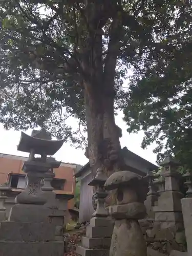 利椋八幡神社(福井県)