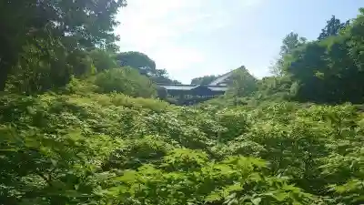 東福禅寺(東福寺)(京都府)
