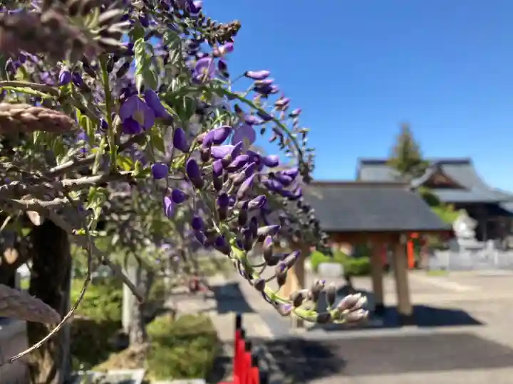總社 和田八幡宮の自然