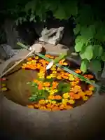 東京羽田 穴守稲荷神社の手水舎