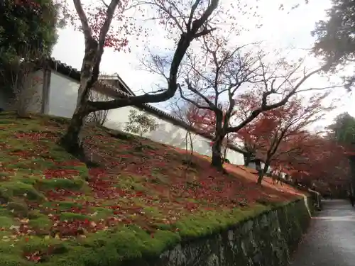 曼殊院門跡(京都府)