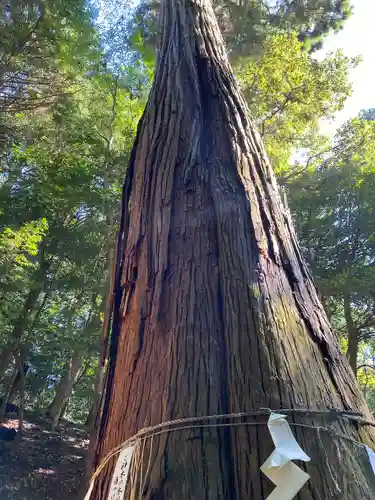 元伊勢内宮 皇大神社(京都府)