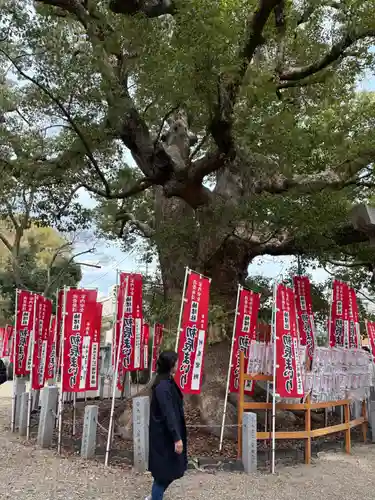 住吉大社(大阪府)