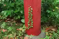 愛宕神社の自然