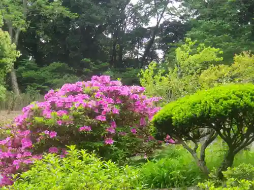 寿福寺の庭園