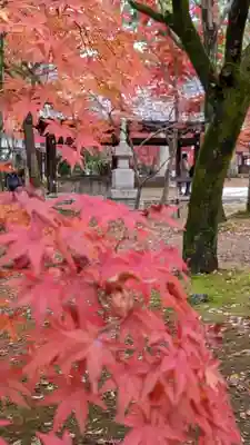真正極楽寺(真如堂)(京都府)