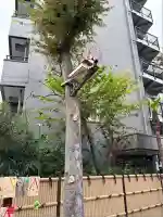 気象神社(東京都)