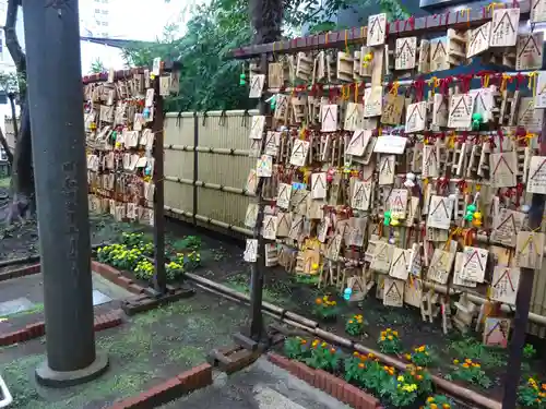 高円寺氷川神社の絵馬