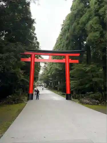 霧島神宮(鹿児島県)