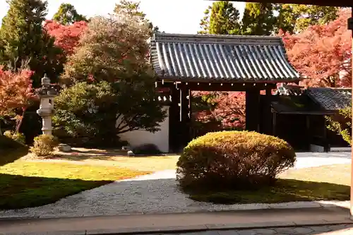 曼殊院門跡(京都府)