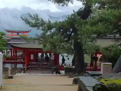 厳島神社のその他建物