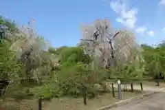 半木神社(京都府)