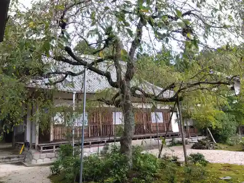 桃林寺(三重県)