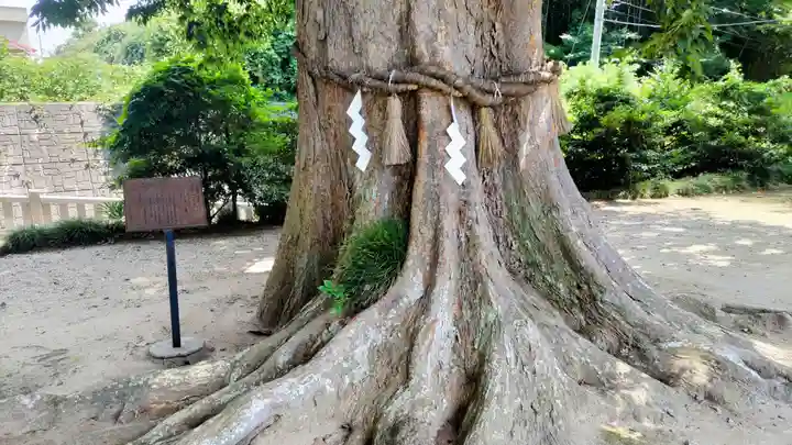 素鵞神社(茨城県)