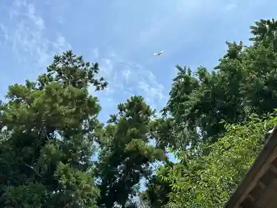 鎌数伊勢大神宮(千葉県)