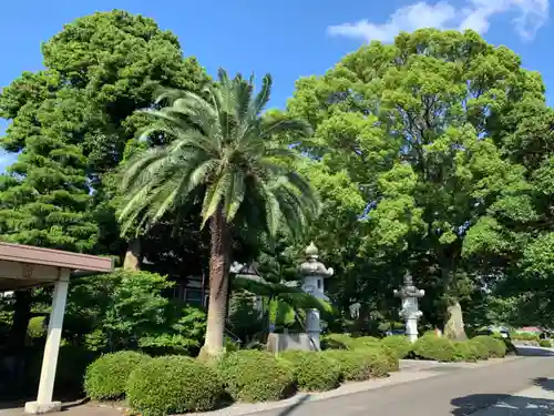 富士山久遠寺のその他建物