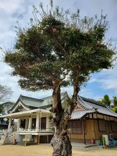 鳥羽八幡神社の本殿・本堂