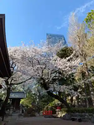 熊野神社(東京都)