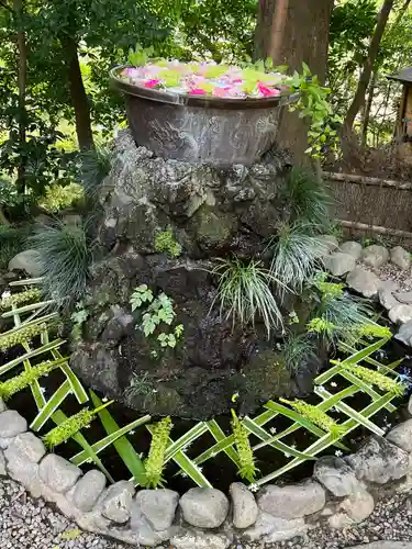 武蔵一宮氷川神社(埼玉県)