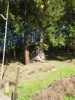 十二天神社(埼玉県)