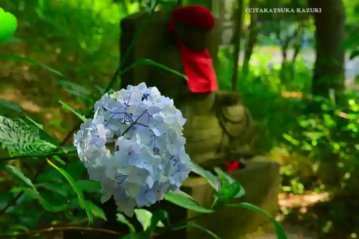 高幡不動尊 金剛寺(東京都)