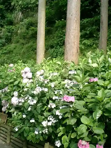 御霊神社の自然