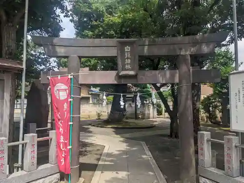 白髭神社(神奈川県)