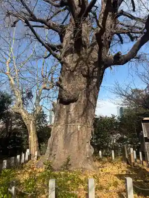 芝東照宮(東京都)