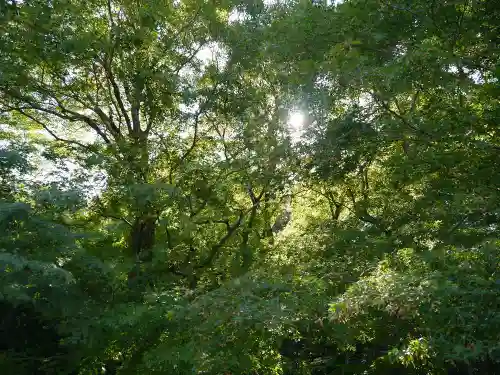 詩仙堂（丈山寺）の自然