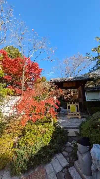 霊源院(京都府)