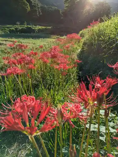 宝城坊(神奈川県)
