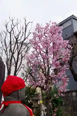 福王山  慈眼寺(東京都)