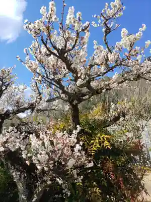 真福寺(岐阜県)
