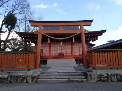 東寺鎮守八幡宮・東寺境内社八島殿の本殿・本堂