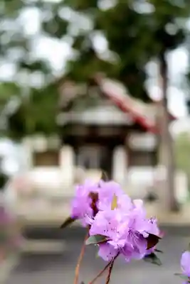 江部乙神社(北海道)