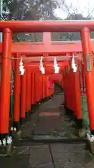 佐助稲荷神社の鳥居