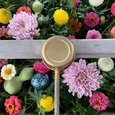 豊景神社の手水舎