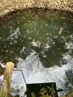 唐澤山神社(栃木県)