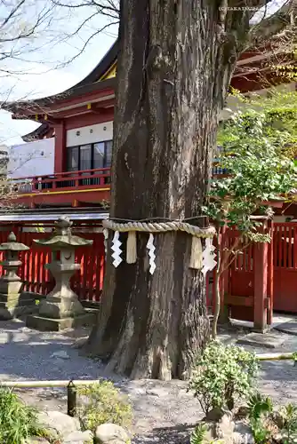 秩父神社の庭園