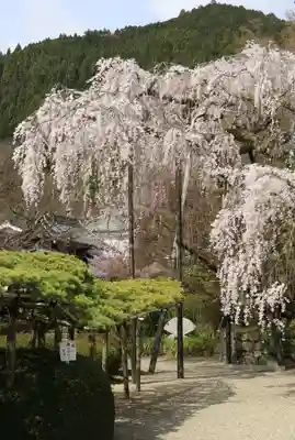善峯寺(京都府)