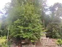 丹生神社(奈良県)
