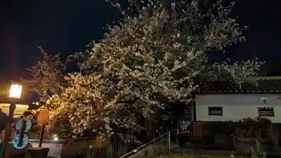 高台寺（高台寿聖禅寺・高臺寺）(京都府)