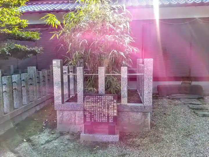 八幡宮(長瀬八幡宮)の自然