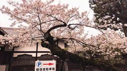 寛永寺(根本中堂)の自然