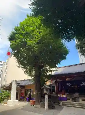 日本橋日枝神社(東京都)