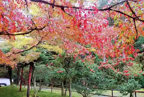 石山寺(滋賀県)