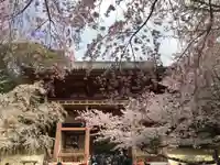 醍醐寺の山門・神門