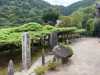 善峯寺(京都府)