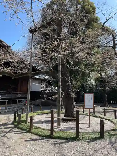 靖國神社(東京都)