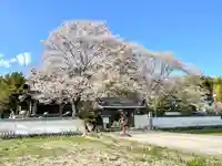 善性寺(三重県)